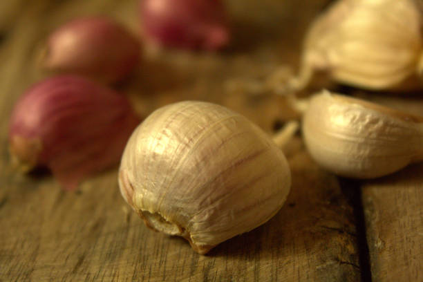 سیر صادراتی خشک با طعم قوی و ماندگاری طولانی